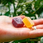 Exploring the Wellness Benefits of ExhaleWell CBD Flower